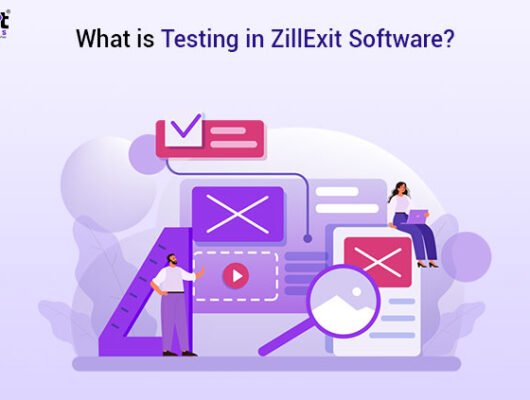 what-is-testing-in-zillexit-software
